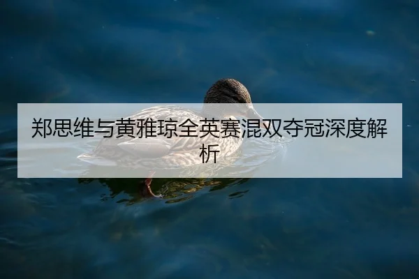 郑思维与黄雅琼全英赛混双夺冠深度解析
